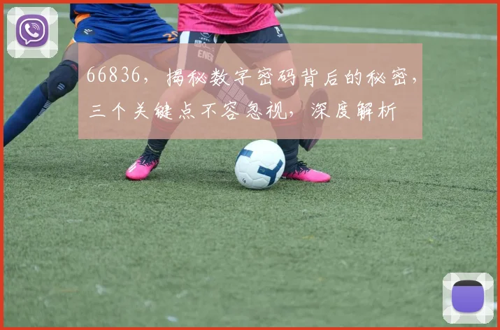 66836，揭秘数字密码背后的秘密，三个关键点不容忽视，深度解析