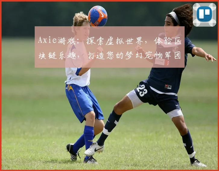 Axie游戏：探索虚拟世界，体验区块链乐趣，打造您的梦幻宠物军团