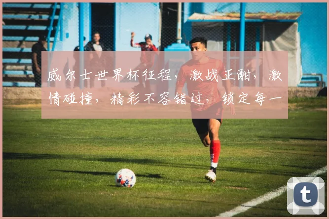 威尔士世界杯征程，激战正酣，激情碰撞，精彩不容错过，锁定每一刻精彩瞬间
