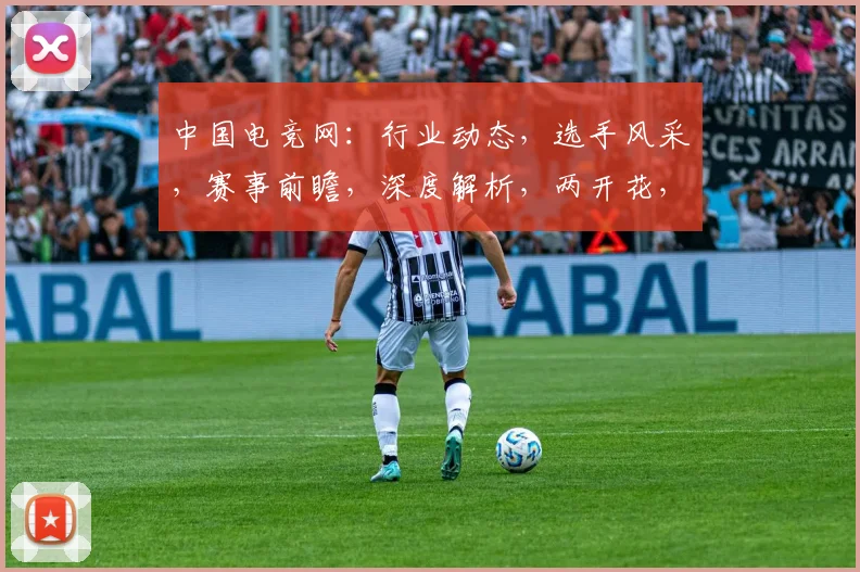 中国电竞网：行业动态，选手风采，赛事前瞻，深度解析，两开花，电竞新纪元