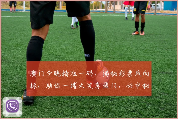 澳门今晚精准一码，揭秘彩票风向标，助你一搏大奖喜盈门，必中秘籍不容错过